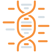 How is the test done?